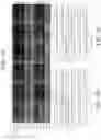 Fig. 08 - Yeast strains with selected or altered mitotypes and methods of making and using the same