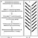 Fig. 06 - GENE EDITING AND TRANSGENE FREE MUTANT PLANTS