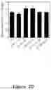 Fig. 08 - Increasing the content of long chain fatty acids in seed oil