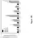 Fig. 21 - Increasing the content of long chain fatty acids in seed oil