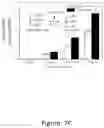 Fig. 24 - Increasing the content of long chain fatty acids in seed oil