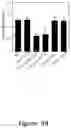 Fig. 29 - Increasing the content of long chain fatty acids in seed oil