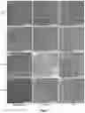 Fig. 06 - Virus-like particles and uses thereof
