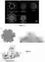 Fig. 09 - Virus-like particles and uses thereof