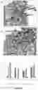 Fig. 16 - Virus-like particles and uses thereof