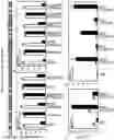 Fig. 18 - Engineering pathogen resistance in plants