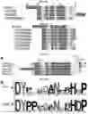 Fig. 38 - Engineering pathogen resistance in plants