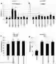 Fig. 41 - Engineering pathogen resistance in plants