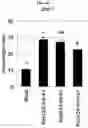 Fig. 42 - Engineering pathogen resistance in plants
