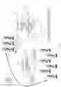 Fig. 08 - Population-Hastened Assembly Genetic Engineering
