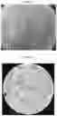 Fig. 04 - BACILLUS MUCILAGINOSUS AND HIGH-DENSITY FERMENTATION METHOD AND USE THEREOF