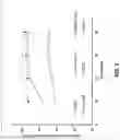 Fig. 04 - Process for the production of bio-butanol by fermentation of glycosidic waste matter