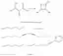 Fig. 06 - BIOLOGICAL PRODUCTION OF ß-LACTONES