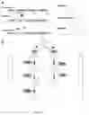 Fig. 17 - BIOLOGICAL PRODUCTION OF ß-LACTONES