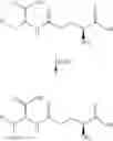 Fig. 07 - Biosynthesis of bioorthogonal amino acids