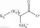 Fig. 08 - Biosynthesis of bioorthogonal amino acids
