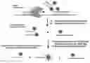 Fig. 01 - Methods for performing multiplexed real-time PCR