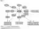 Fig. 07 - OLIGONUCLEOTIDE BINDING AGENTS