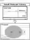 Fig. 13 - OLIGONUCLEOTIDE BINDING AGENTS