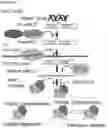 Fig. 26 - OLIGONUCLEOTIDE BINDING AGENTS