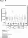 Fig. 59 - OLIGONUCLEOTIDE BINDING AGENTS