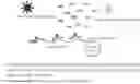 Fig. 01 - Methods, systems, and compositions for counting nucleic acid molecules