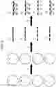 Fig. 03 - Methods, systems, and compositions for counting nucleic acid molecules