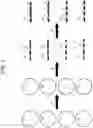 Fig. 04 - Methods, systems, and compositions for counting nucleic acid molecules