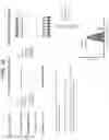 Fig. 13 - Methods, systems, and compositions for counting nucleic acid molecules