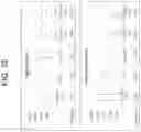 Fig. 37 - Methods, systems, and compositions for counting nucleic acid molecules