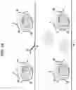 Fig. 39 - Methods, systems, and compositions for counting nucleic acid molecules