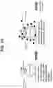 Fig. 40 - Methods, systems, and compositions for counting nucleic acid molecules