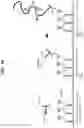 Fig. 45 - Methods, systems, and compositions for counting nucleic acid molecules