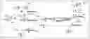 Fig. 01 - SWITCH-LIKE ISOTHERMAL DNA AMPLIFICATION DEMONSTRATING A NON-LINEAR AMPLIFICATION RATE