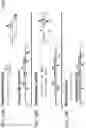 Fig. 14 - SWITCH-LIKE ISOTHERMAL DNA AMPLIFICATION DEMONSTRATING A NON-LINEAR AMPLIFICATION RATE
