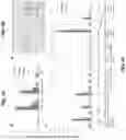 Fig. 05 - METHOD FOR NUCLEIC ACID AMPLIFICATION