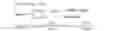 Fig. 07 - Methods for nucleic acid size detection of repeat sequences