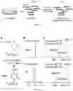 Fig. 10 - Osmiumtetroxide-based conversion of RNA and DNA containing thiolated nucleotides