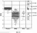 Fig. 67 - Detecting and classifying copy number variation