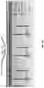 Fig. 04 - Multiplexed and recyclable single-molecule sensors for quantitative analysis of nucleic-acid biomarkers