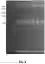 Fig. 20 - Multiplexed and recyclable single-molecule sensors for quantitative analysis of nucleic-acid biomarkers