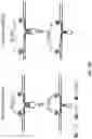 Fig. 24 - Multiplexed and recyclable single-molecule sensors for quantitative analysis of nucleic-acid biomarkers
