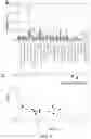 Fig. 11 - Methods of detecting cell-free DNA in biological samples