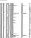 Fig. 18 - Consensus Coding Sequences of Human Breast and Colorectal Cancers