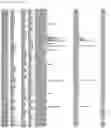 Fig. 30 - Consensus Coding Sequences of Human Breast and Colorectal Cancers