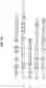 Fig. 03 - Digital sequence analysis of DNA methylation