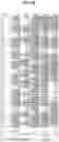 Fig. 23 - Digital sequence analysis of DNA methylation