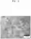 Fig. 03 - High-strength reinforcing steel and method for manufacturing same