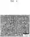 Fig. 05 - High-strength reinforcing steel and method for manufacturing same