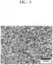 Fig. 06 - High-strength reinforcing steel and method for manufacturing same